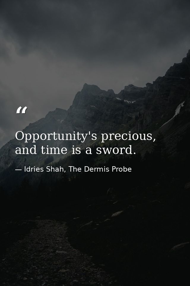 Opportunity's precious, and time is a sword. — Idries Shah, The Dermis Probe