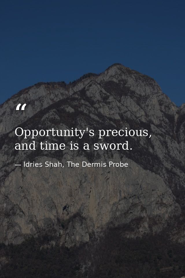 Opportunity's precious, and time is a sword. — Idries Shah, The Dermis Probe