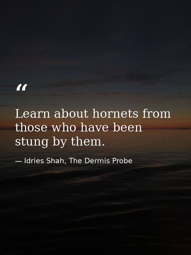 Learn about hornets from those who have been stung by them. — Idries Shah, The Dermis Probe