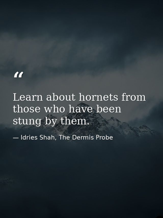 Learn about hornets from those who have been stung by them. — Idries Shah, The Dermis Probe