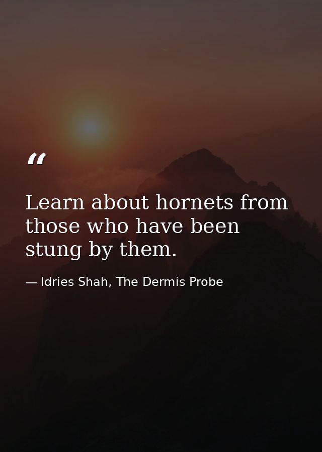 Learn about hornets from those who have been stung by them. — Idries Shah, The Dermis Probe