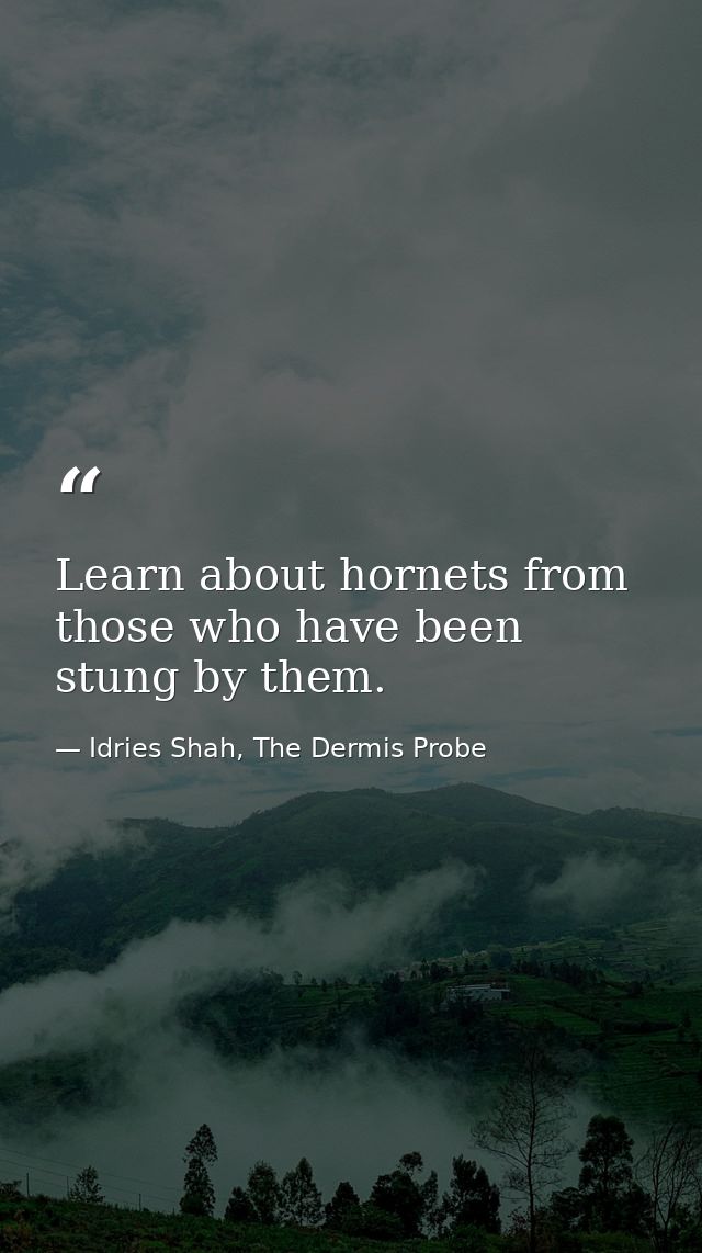 Learn about hornets from those who have been stung by them. — Idries Shah, The Dermis Probe