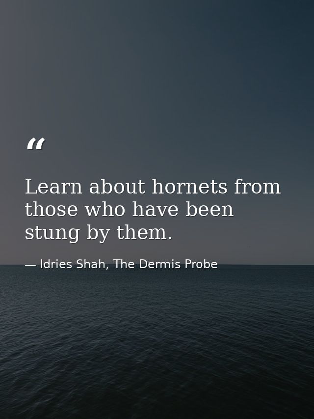 Learn about hornets from those who have been stung by them. — Idries Shah, The Dermis Probe