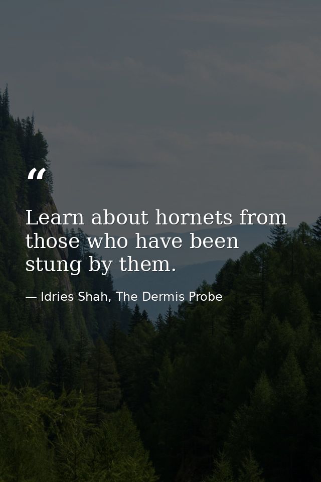 Learn about hornets from those who have been stung by them. — Idries Shah, The Dermis Probe