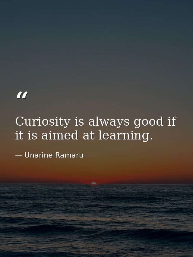 Curiosity is always good if it is aimed at learning. — Unarine Ramaru