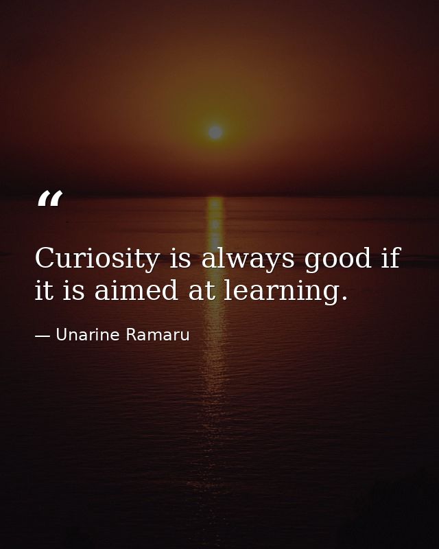 Curiosity is always good if it is aimed at learning. — Unarine Ramaru