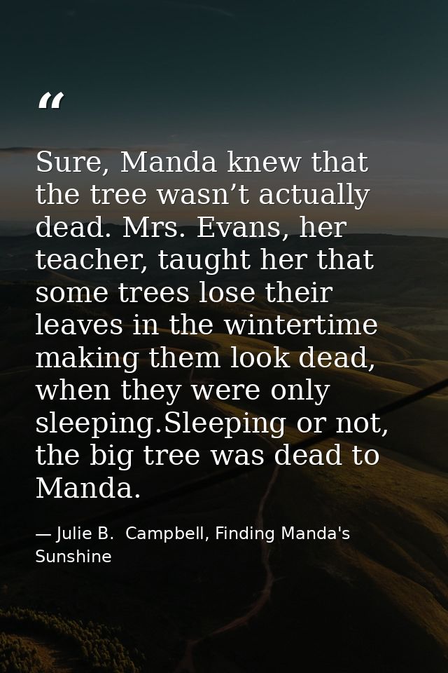 Sure, Manda knew that the tree wasn’t actually dead. Mrs. Evans, her teacher, taught her that some trees lose their leav — Julie B.  Campbell, Finding Manda's Sunshine