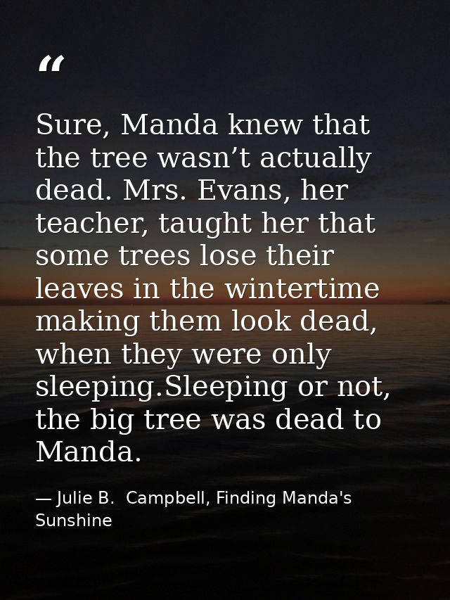 Sure, Manda knew that the tree wasn’t actually dead. Mrs. Evans, her teacher, taught her that some trees lose their leav — Julie B.  Campbell, Finding Manda's Sunshine
