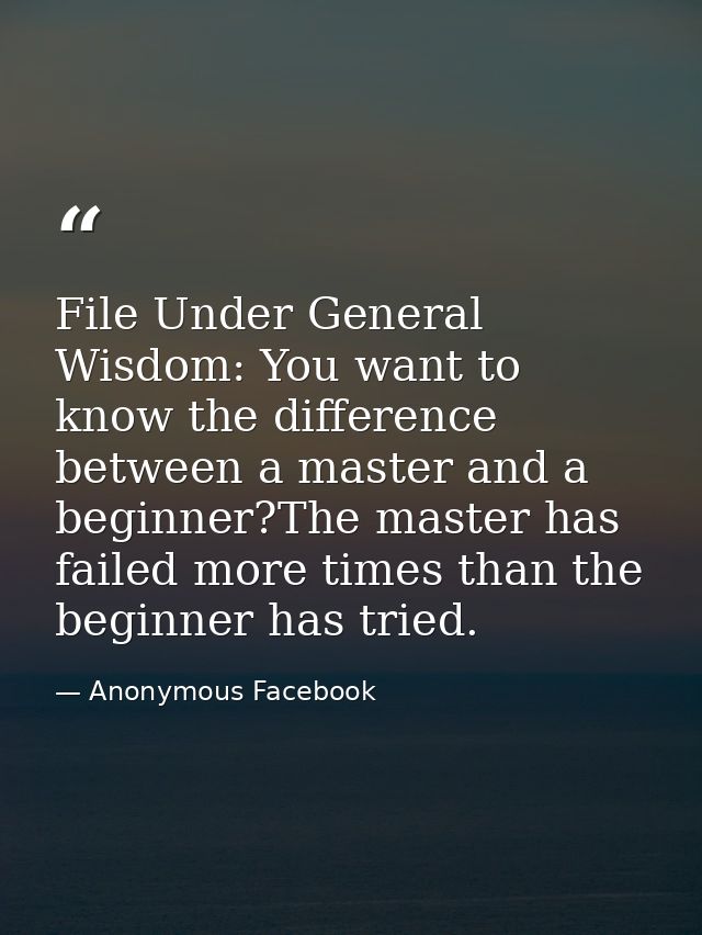 File Under General Wisdom: You want to know the difference between a master and a beginner?The master has failed more ti — Anonymous Facebook