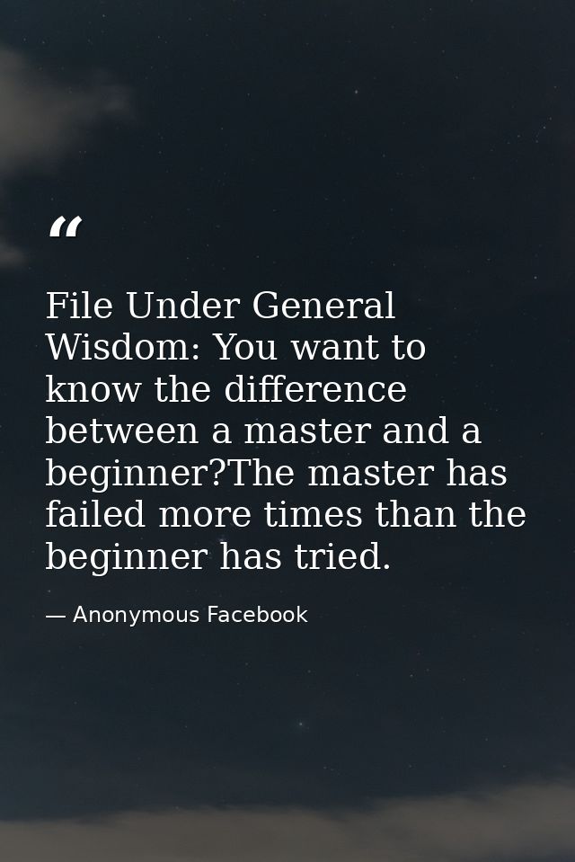File Under General Wisdom: You want to know the difference between a master and a beginner?The master has failed more ti — Anonymous Facebook