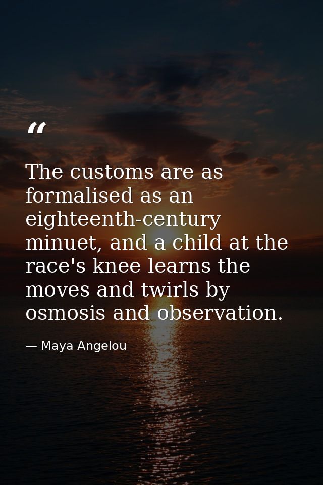 The customs are as formalised as an eighteenth-century minuet, and a child at the race's knee learns the moves and twirl — Maya Angelou