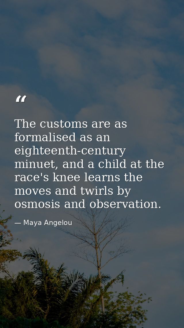 The customs are as formalised as an eighteenth-century minuet, and a child at the race's knee learns the moves and twirl — Maya Angelou