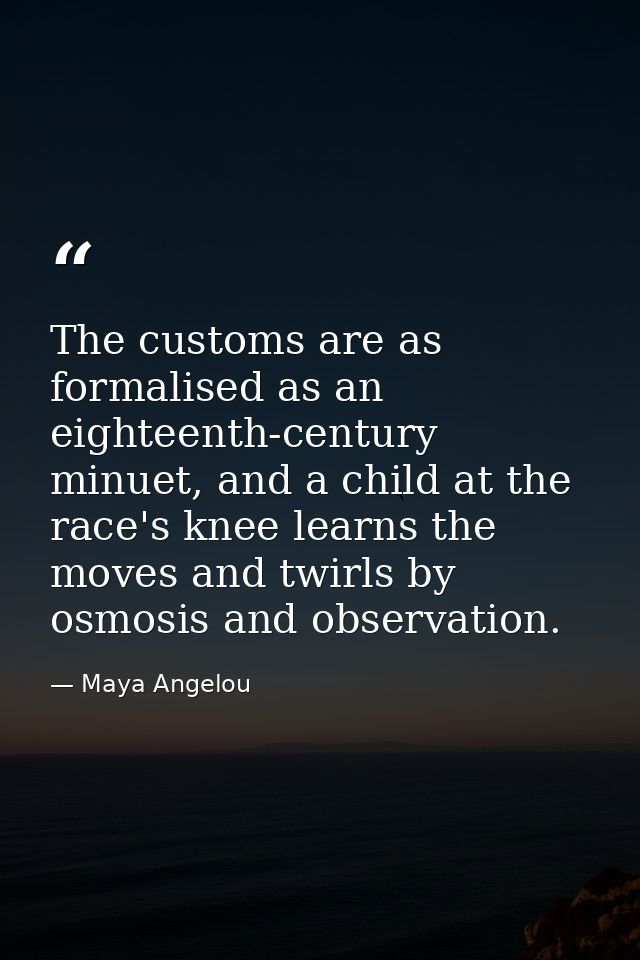 The customs are as formalised as an eighteenth-century minuet, and a child at the race's knee learns the moves and twirl — Maya Angelou