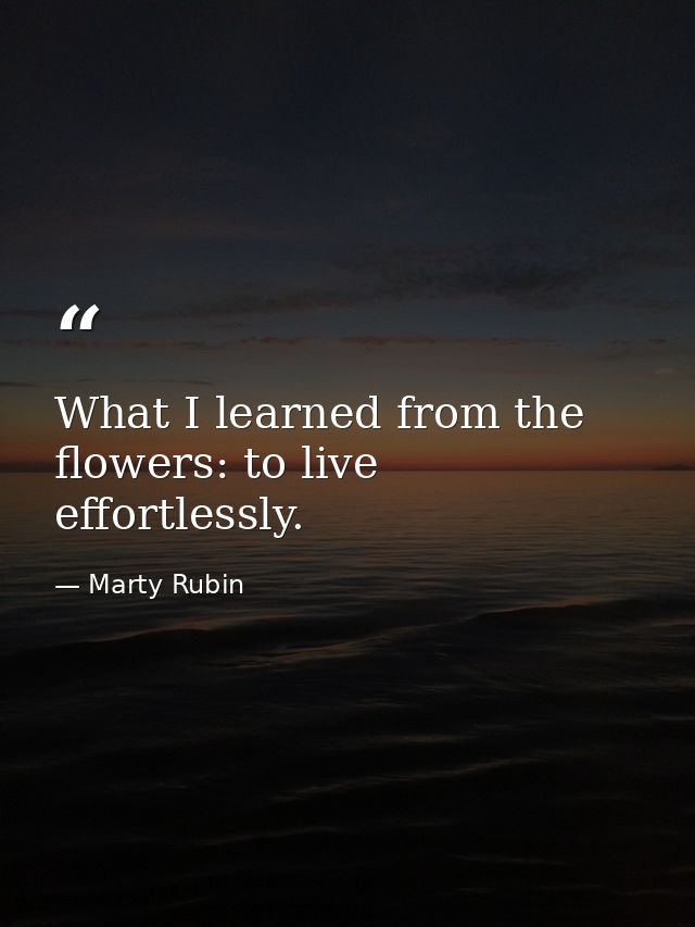 What I learned from the flowers: to live effortlessly. — Marty Rubin