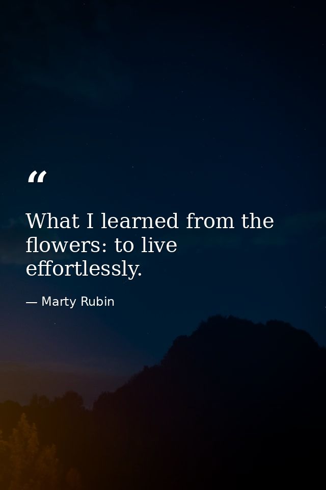 What I learned from the flowers: to live effortlessly. — Marty Rubin