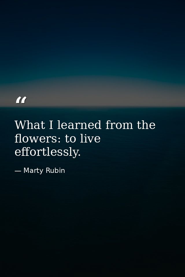 What I learned from the flowers: to live effortlessly. — Marty Rubin