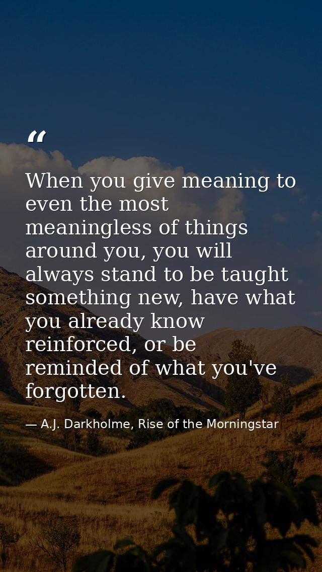 When you give meaning to even the most meaningless of things around you, you will always stand to be taught something ne — A.J. Darkholme, Rise of the Morningstar