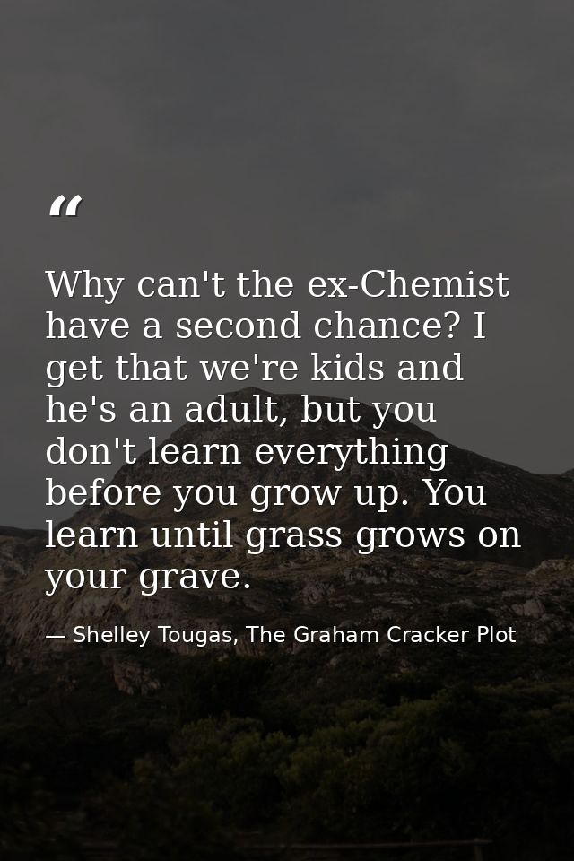 Why can't the ex-Chemist have a second chance? I get that we're kids and he's an adult, but you don't learn everything b — Shelley Tougas, The Graham Cracker Plot