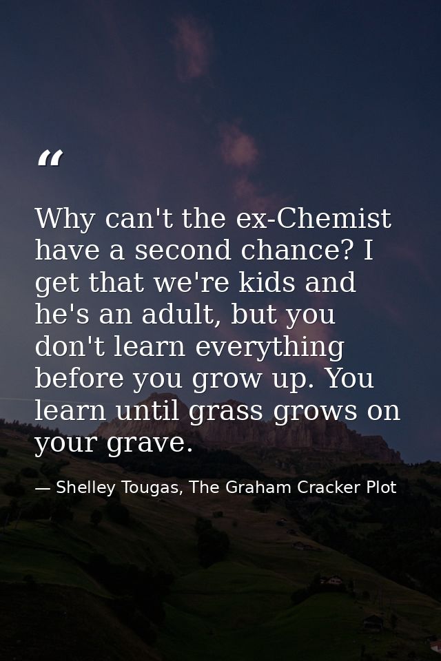 Why can't the ex-Chemist have a second chance? I get that we're kids and he's an adult, but you don't learn everything b — Shelley Tougas, The Graham Cracker Plot