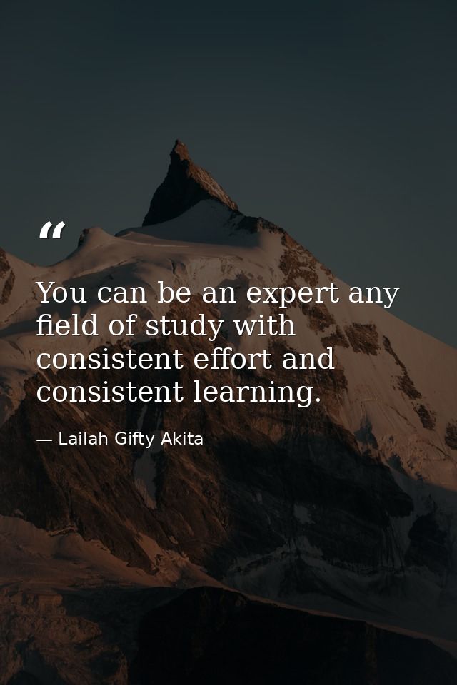 You can be an expert any field of study with consistent effort and consistent learning. — Lailah Gifty Akita