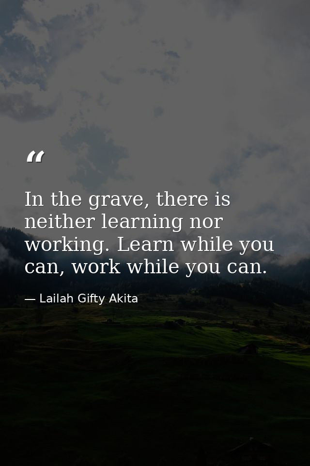 In the grave, there is neither learning nor working. Learn while you can, work while you can. — Lailah Gifty Akita