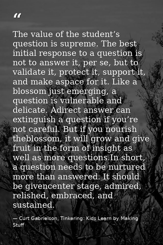The value of the student’s question is supreme. The best initial response to a question is not to answer it, per se, but — Curt Gabrielson, Tinkering: Kids Learn by Making Stuff