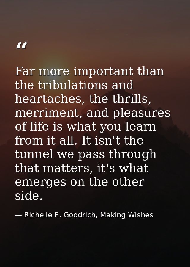 Far more important than the tribulations and heartaches, the thrills, merriment, and pleasures of life is what you learn — Richelle E. Goodrich, Making Wishes