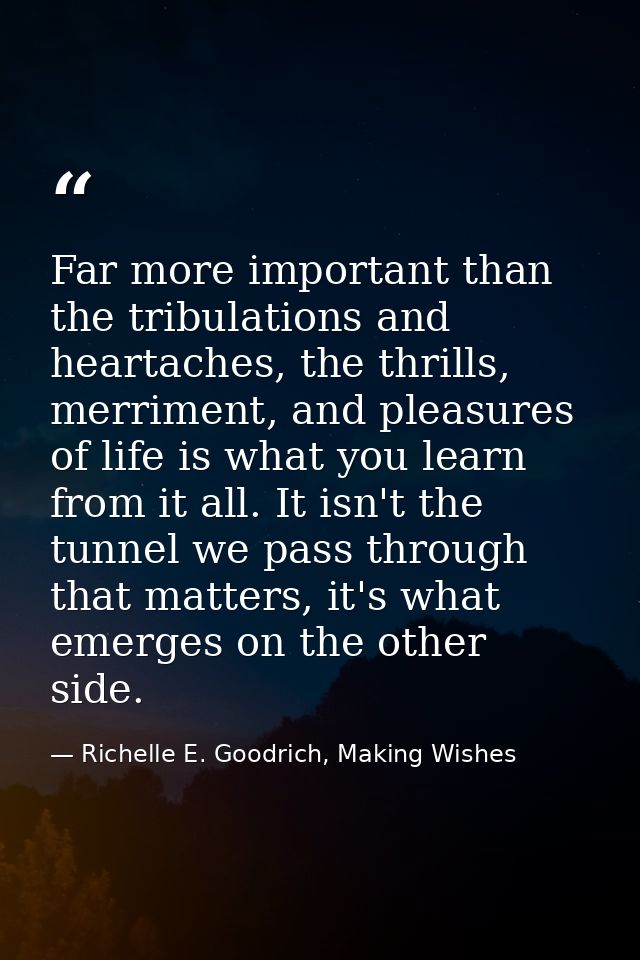Far more important than the tribulations and heartaches, the thrills, merriment, and pleasures of life is what you learn — Richelle E. Goodrich, Making Wishes