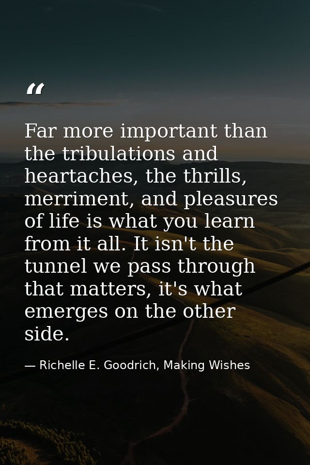 Far more important than the tribulations and heartaches, the thrills, merriment, and pleasures of life is what you learn — Richelle E. Goodrich, Making Wishes