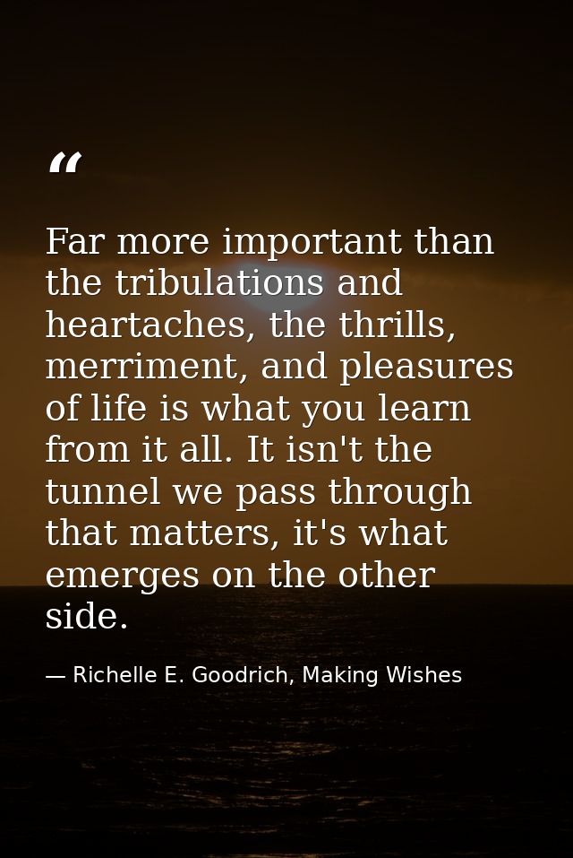 Far more important than the tribulations and heartaches, the thrills, merriment, and pleasures of life is what you learn — Richelle E. Goodrich, Making Wishes