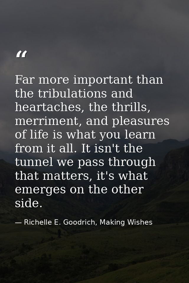 Far more important than the tribulations and heartaches, the thrills, merriment, and pleasures of life is what you learn — Richelle E. Goodrich, Making Wishes