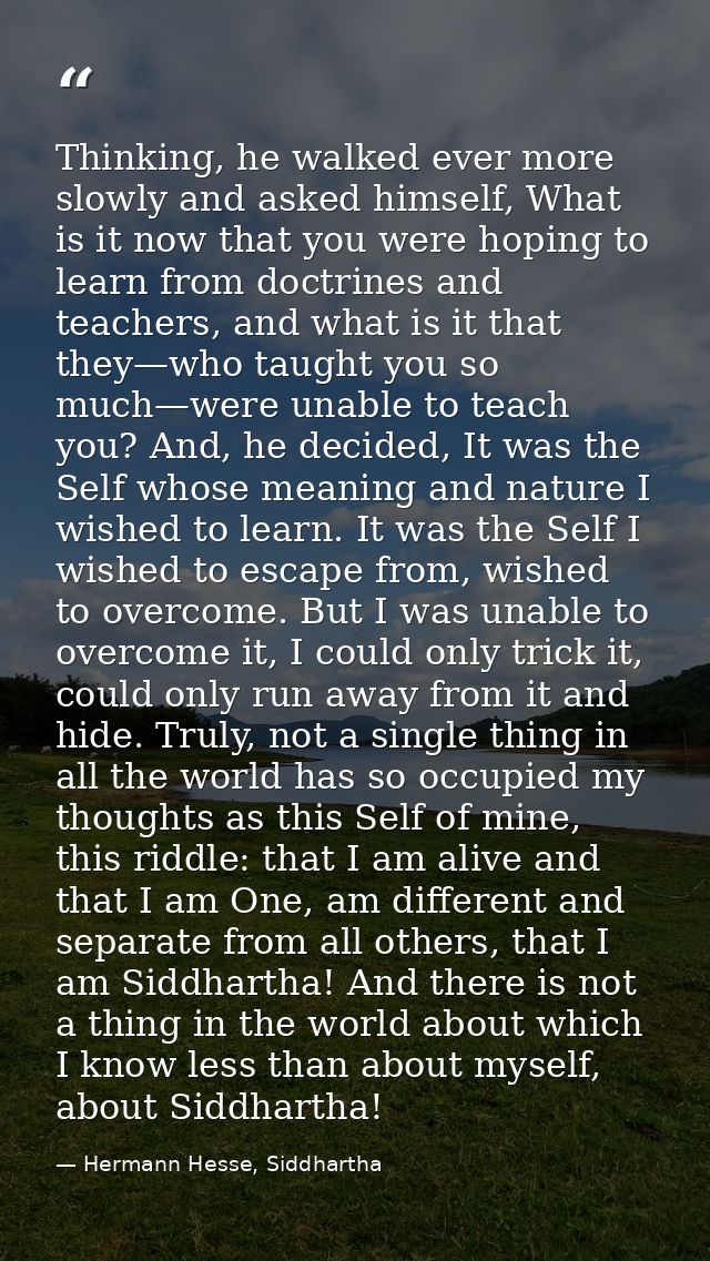 Thinking, he walked ever more slowly and asked himself, What is it now that you were hoping to learn from doctrines and  — Hermann Hesse, Siddhartha