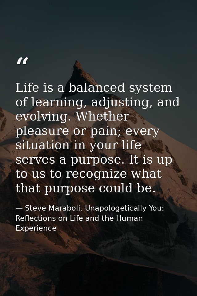 Life is a balanced system of learning, adjusting, and evolving. Whether pleasure or pain; every situation in your life s — Steve Maraboli, Unapologetically You: Reflections on Life and the Human Experience