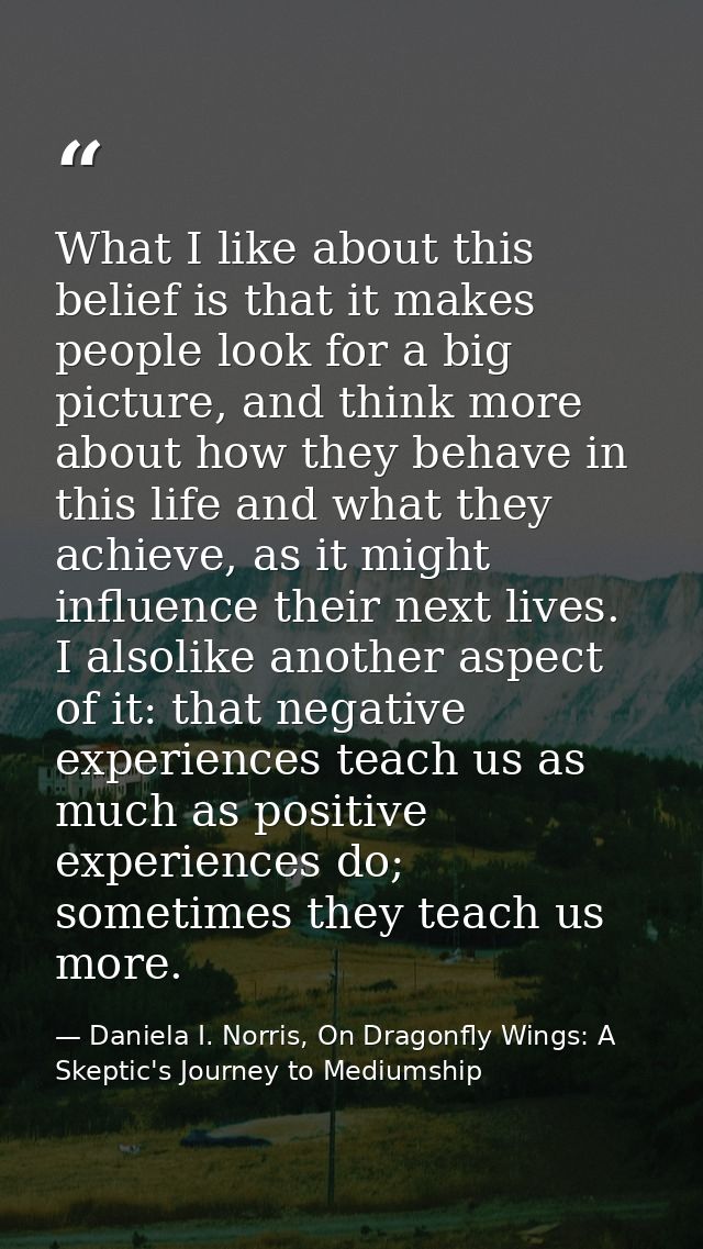 What I like about this belief is that it makes people look for a big picture, and think more about how they behave in th — Daniela I. Norris, On Dragonfly Wings: A Skeptic's Journey to Mediumship