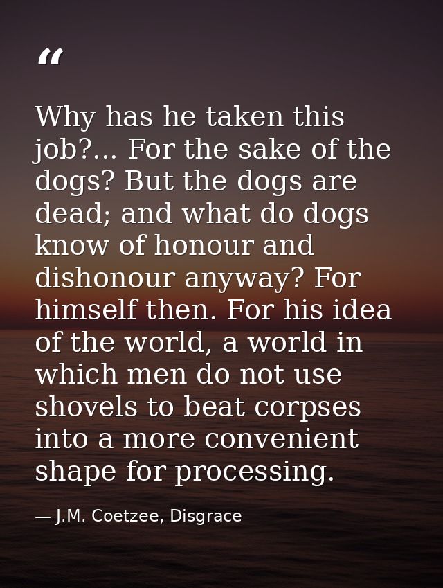 Why has he taken this job?... For the sake of the dogs? But the dogs are dead; and what do dogs know of honour and disho — J.M. Coetzee, Disgrace