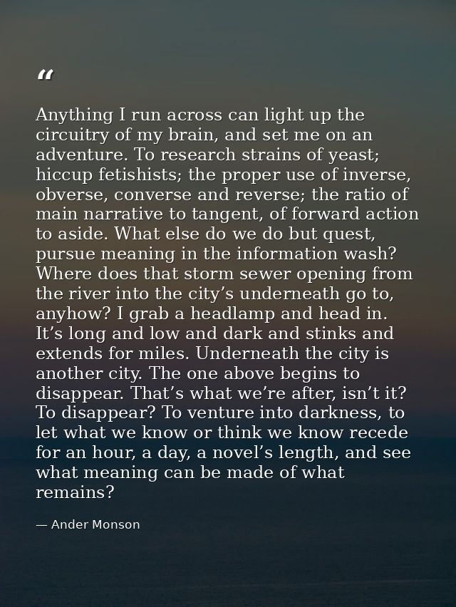 Anything I run across can light up the circuitry of my brain, and set me on an adventure. To research strains of yeast;  — Ander Monson