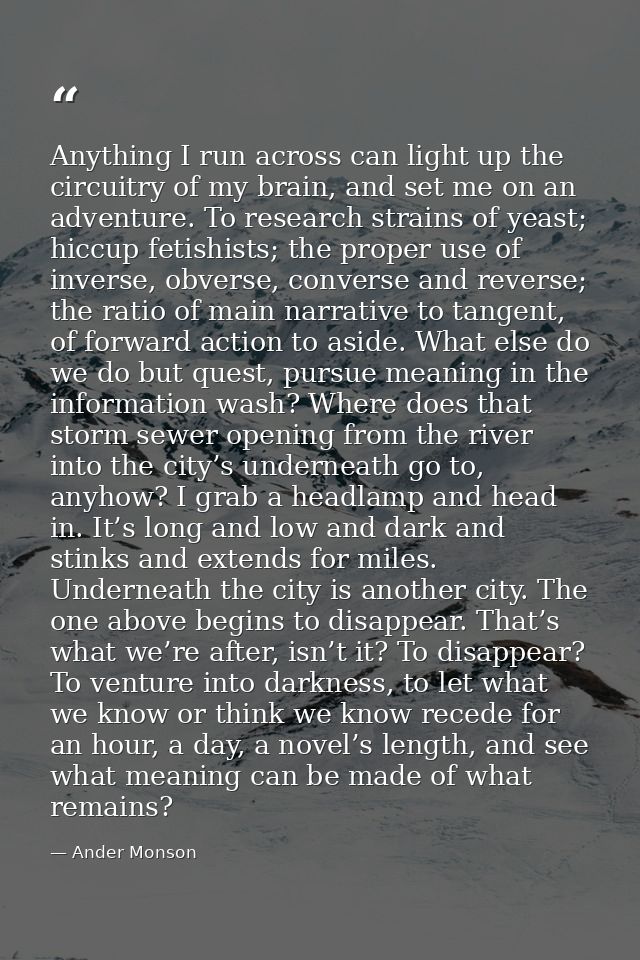 Anything I run across can light up the circuitry of my brain, and set me on an adventure. To research strains of yeast;  — Ander Monson