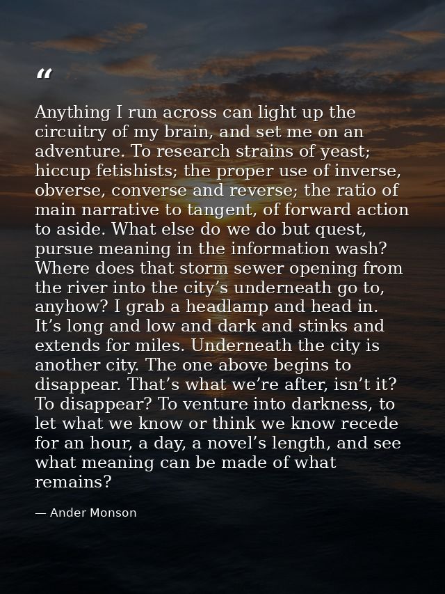 Anything I run across can light up the circuitry of my brain, and set me on an adventure. To research strains of yeast;  — Ander Monson