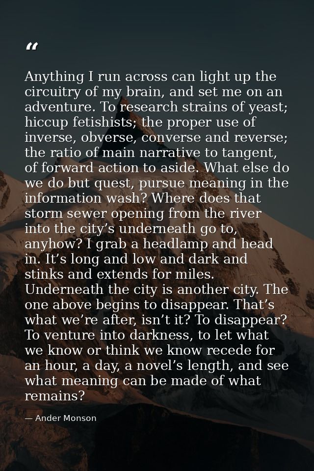 Anything I run across can light up the circuitry of my brain, and set me on an adventure. To research strains of yeast;  — Ander Monson