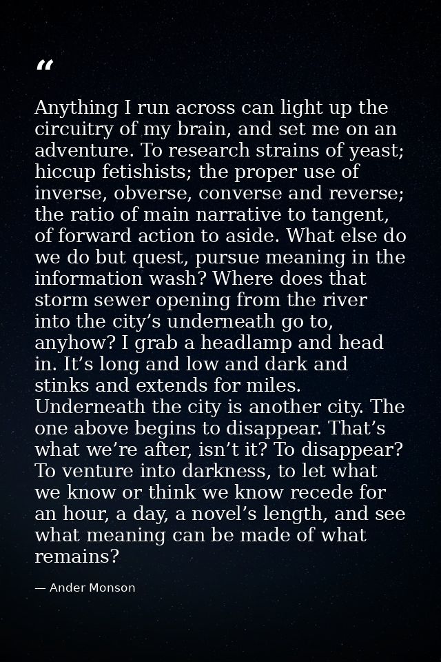 Anything I run across can light up the circuitry of my brain, and set me on an adventure. To research strains of yeast;  — Ander Monson
