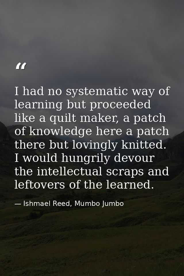 I had no systematic way of learning but proceeded like a quilt maker, a patch of knowledge here a patch there but loving — Ishmael Reed, Mumbo Jumbo
