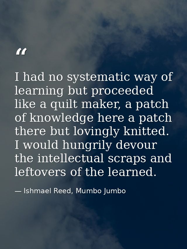 I had no systematic way of learning but proceeded like a quilt maker, a patch of knowledge here a patch there but loving — Ishmael Reed, Mumbo Jumbo