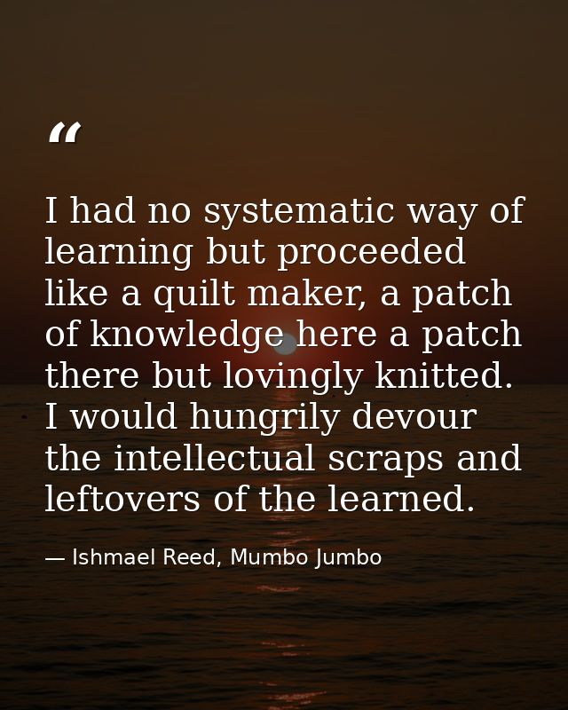 I had no systematic way of learning but proceeded like a quilt maker, a patch of knowledge here a patch there but loving — Ishmael Reed, Mumbo Jumbo