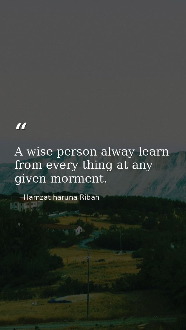A wise person alway learn from every thing at any given morment. — Hamzat haruna Ribah