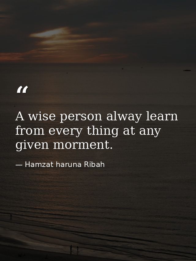 A wise person alway learn from every thing at any given morment. — Hamzat haruna Ribah