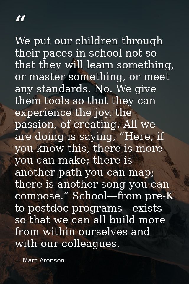 We put our children through their paces in school not so that they will learn something, or master something, or meet an — Marc Aronson