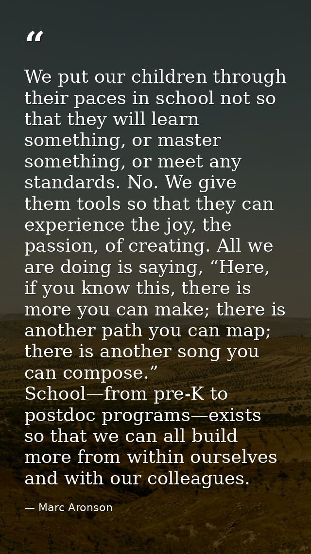 We put our children through their paces in school not so that they will learn something, or master something, or meet an — Marc Aronson