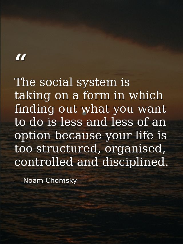 The social system is taking on a form in which finding out what you want to do is less and less of an option because you — Noam Chomsky