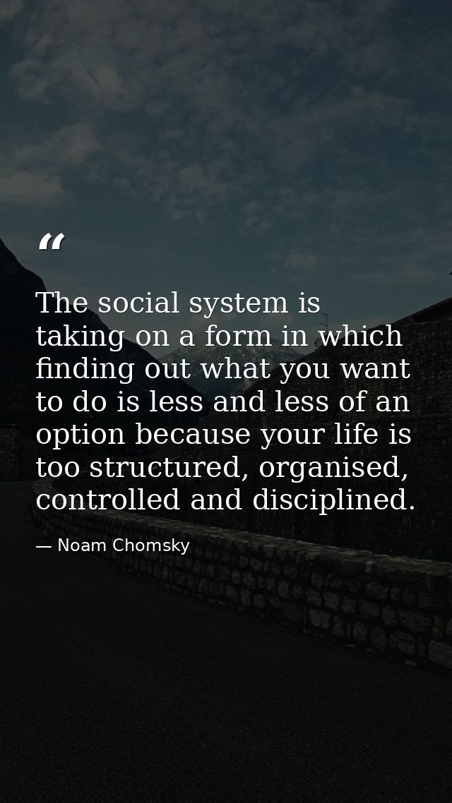 The social system is taking on a form in which finding out what you want to do is less and less of an option because you — Noam Chomsky
