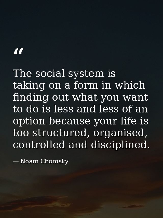 The social system is taking on a form in which finding out what you want to do is less and less of an option because you — Noam Chomsky
